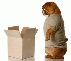 Pet Subscription Boxes