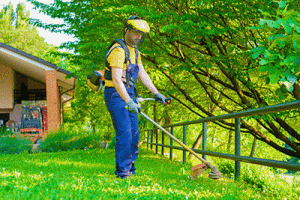 Hiring A Lawn Care Service