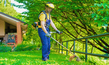 Hiring A Lawn Care Service | What You Should Know