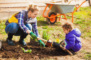 Tips For Landscaping